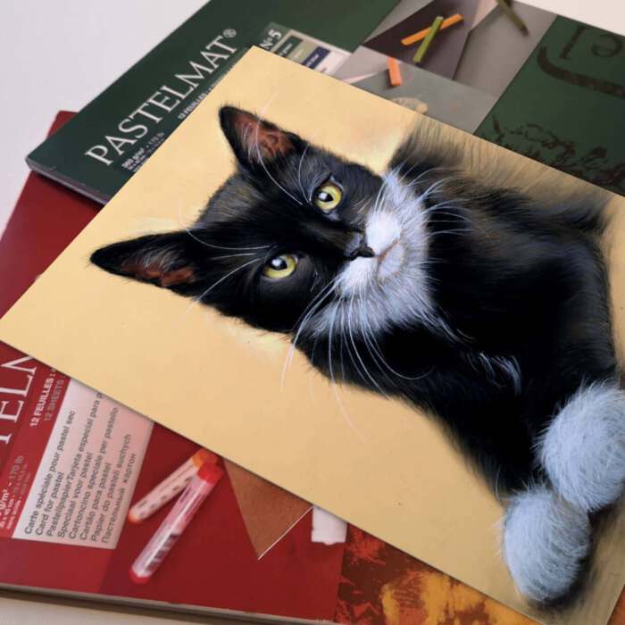 Pastellkreide Zeichnung Katze